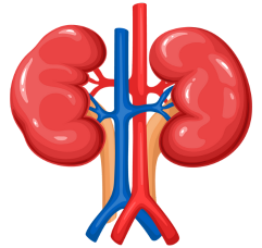 Nephrology